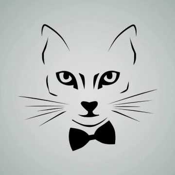 August Ringtone Download Free August Ringtone Download Free