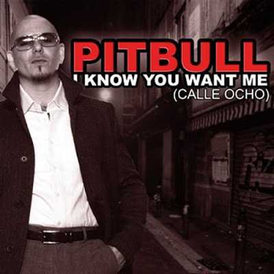 I Know You Want Me 2009 Zil sesi İndir Bedava I Know You Want Me 2009 Zil sesi İndir Bedava
