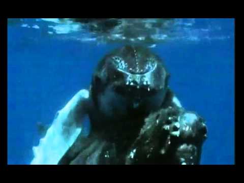 Under Fire آهنگ زنگ دانلود رایگان