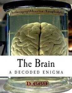 For The Brain آهنگ زنگ دانلود رایگان