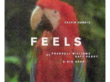 Feels Ringtone downloaden gratis Feels Ringtone downloaden gratis