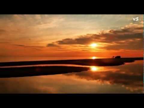 Dreaming Of You Ringtone Download Free Dreaming Of You Ringtone Download Free