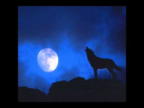 Night Howler Ringtone Download Free Night Howler Ringtone Download Free