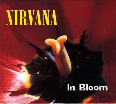 In Bloom Ringtone Download Free In Bloom Ringtone Download Free