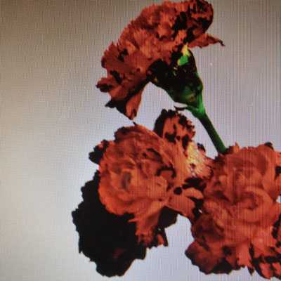 Made To Love Ringtone Download Free Made To Love Ringtone Download Free