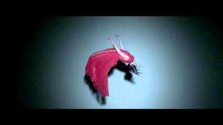Te Quiero (Original Vocal Mix) Ringtone Download Free Te Quiero (Original Vocal Mix) Ringtone Download Free
