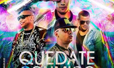 Quedate Conmigo Ringtone Download Free Quedate Conmigo Ringtone Download Free