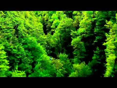 Run Away (Original Mix Edit) Ringtone Download Free Run Away (Original Mix Edit) Ringtone Download Free