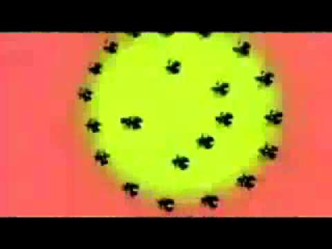 I Love Acid Ringetone Download gratis