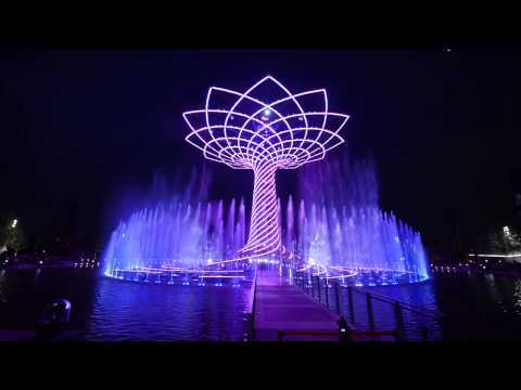 Tree Of Life Suite: Wild Side Ringtone Download Free Tree Of Life Suite: Wild Side Ringtone Download Free