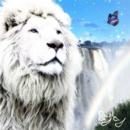 13 Raion Ringtone Download Free 13 Raion Ringtone Download Free