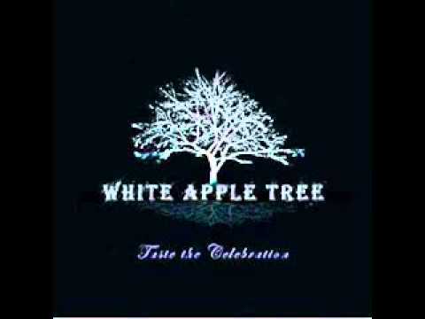 Snowflakes آهنگ زنگ دانلود رایگان Snowflakes آهنگ زنگ دانلود رایگان