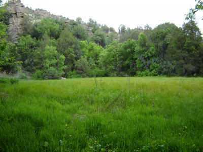 GILLA LOOP Ringtone Download Free GILLA LOOP Ringtone Download Free