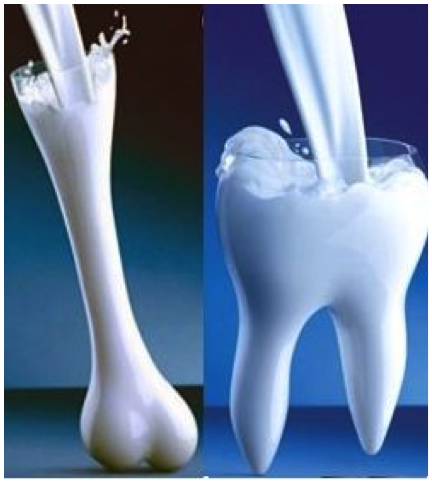 Calcium Unduh Nada Dering Gratis Calcium Unduh Nada Dering Gratis