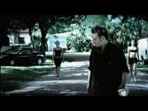 Se Una Regola Ce Ringtone Download Free Se Una Regola Ce Ringtone Download Free