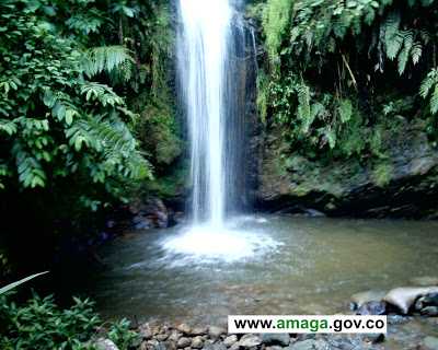 Amaga Ringtone Download Free Amaga Ringtone Download Free