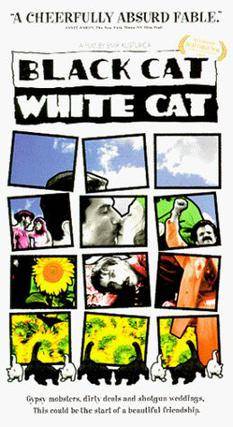 Black Cat White Cat Ringtone Download Free Black Cat White Cat Ringtone Download Free