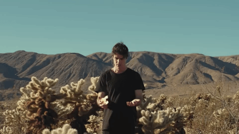 Bad Habit Ringtone Download Free Bad Habit Ringtone Download Free
