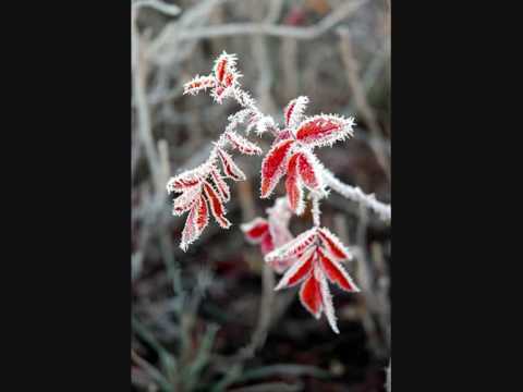 I Allegretto Ringtone Download Free I Allegretto Ringtone Download Free