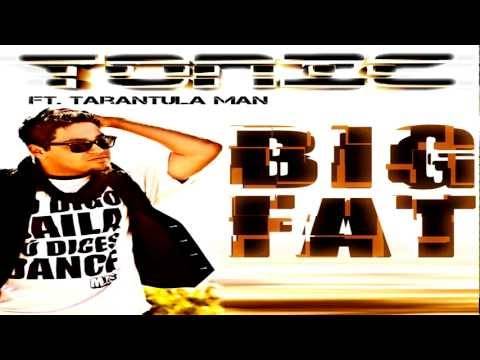 Big Fat (Radio Edit) Ringtone Download Free Big Fat (Radio Edit) Ringtone Download Free
