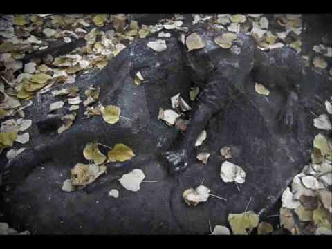 Stretched On Your Grave Ringtone Download Free Stretched On Your Grave Ringtone Download Free