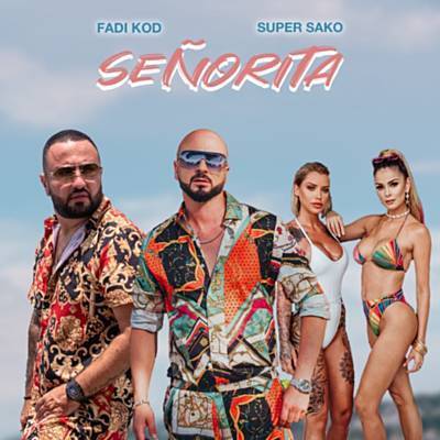 Señorita Ringtone Download Free Señorita Ringtone Download Free