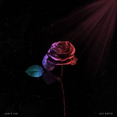 Can't Lie Ringtone Download Free Can't Lie Ringtone Download Free