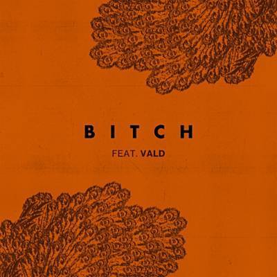 Bitch آهنگ زنگ دانلود رایگان