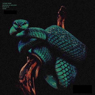 Designer Snakes آهنگ زنگ دانلود رایگان