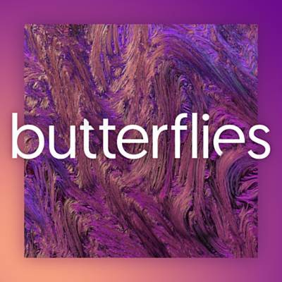 Butterflies Ringtone Download Free Butterflies Ringtone Download Free