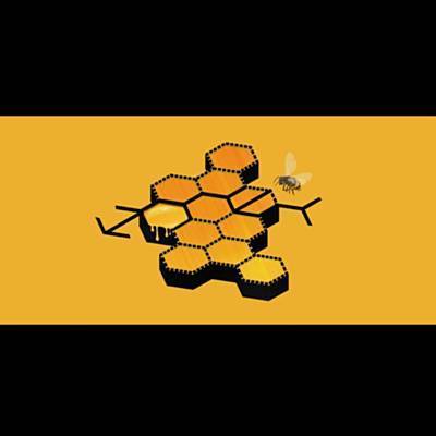 Honey Ringtone Download Free Honey Ringtone Download Free