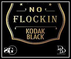 No Flockin Ringtone Download Free No Flockin Ringtone Download Free