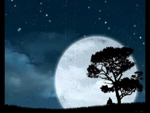 Lonely Nights آهنگ زنگ دانلود رایگان Lonely Nights آهنگ زنگ دانلود رایگان