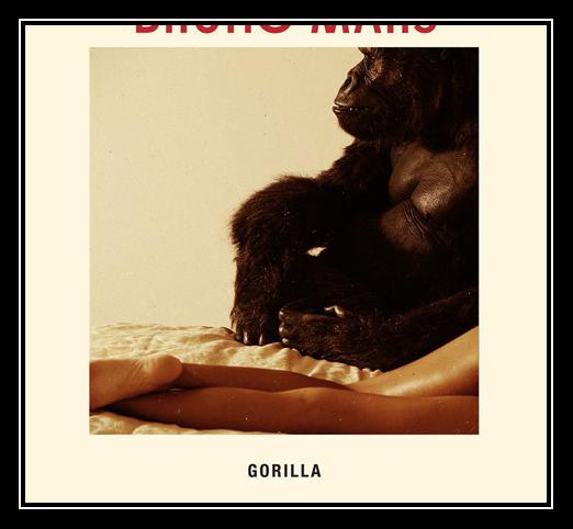 Gorilla রিংটোন ফ্রি ডাউনলোড করুন Gorilla রিংটোন ফ্রি ডাউনলোড করুন