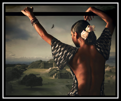 Soldier Of Love Sonnerie Télécharger Gratuit