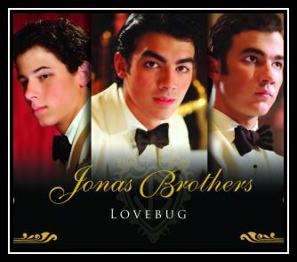 Lovebug Ringtone Download Free Lovebug Ringtone Download Free