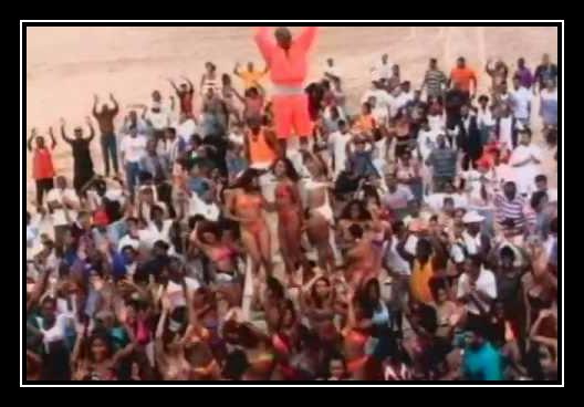 Summer Bunnies Ringtone Download Free Summer Bunnies Ringtone Download Free