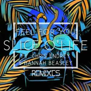Feel For You Ringtone Download Free Feel For You Ringtone Download Free