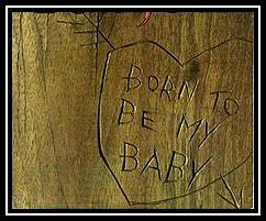 Born To Be My Baby Ringetone Download gratis