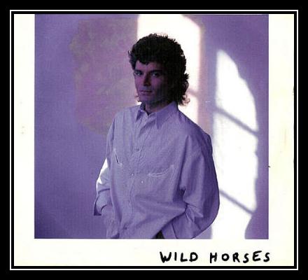 Wild Horses রিংটোন ফ্রি ডাউনলোড করুন