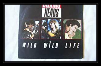 Wild Wild Life रिंगटोन डाउनलोड मुफ्त Wild Wild Life रिंगटोन डाउनलोड मुफ्त