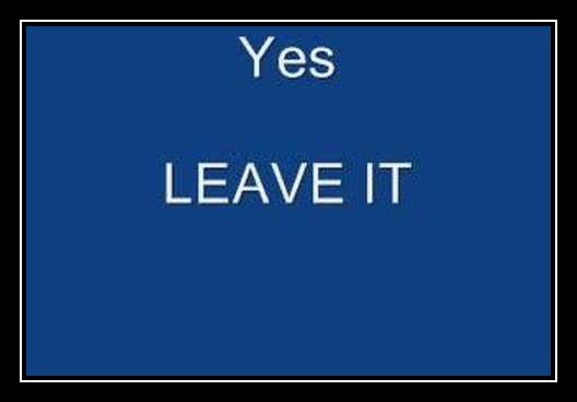 Leave It آهنگ زنگ دانلود رایگان Leave It آهنگ زنگ دانلود رایگان