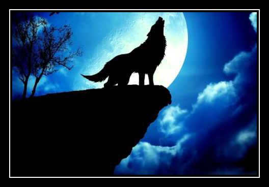 Shoot For The Moon Dzwonek Pobierz za darmo