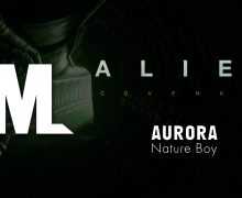 Nature Boy Ringtone Download Free Nature Boy Ringtone Download Free