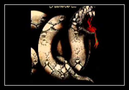 Stone Cold Sober Ringtone Download Free Stone Cold Sober Ringtone Download Free
