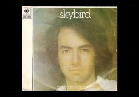 Skybird Descarregar gratis el to de trucada Skybird Descarregar gratis el to de trucada