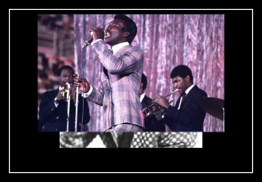 Don't Let The Green Grass Fool You آهنگ زنگ دانلود رایگان Don't Let The Green Grass Fool You آهنگ زنگ دانلود رایگان