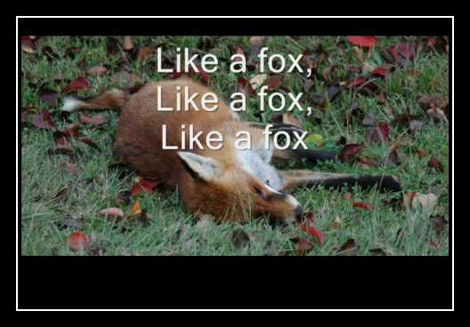 Fox On The Run Ringtone Download Free Fox On The Run Ringtone Download Free