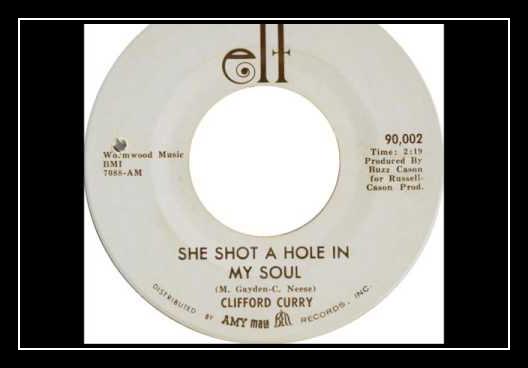 She Shot A Hole In My Soul آهنگ زنگ دانلود رایگان