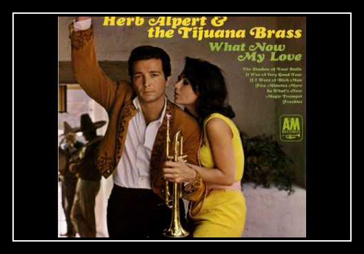 What Now My Love Ringtone Download Free What Now My Love Ringtone Download Free